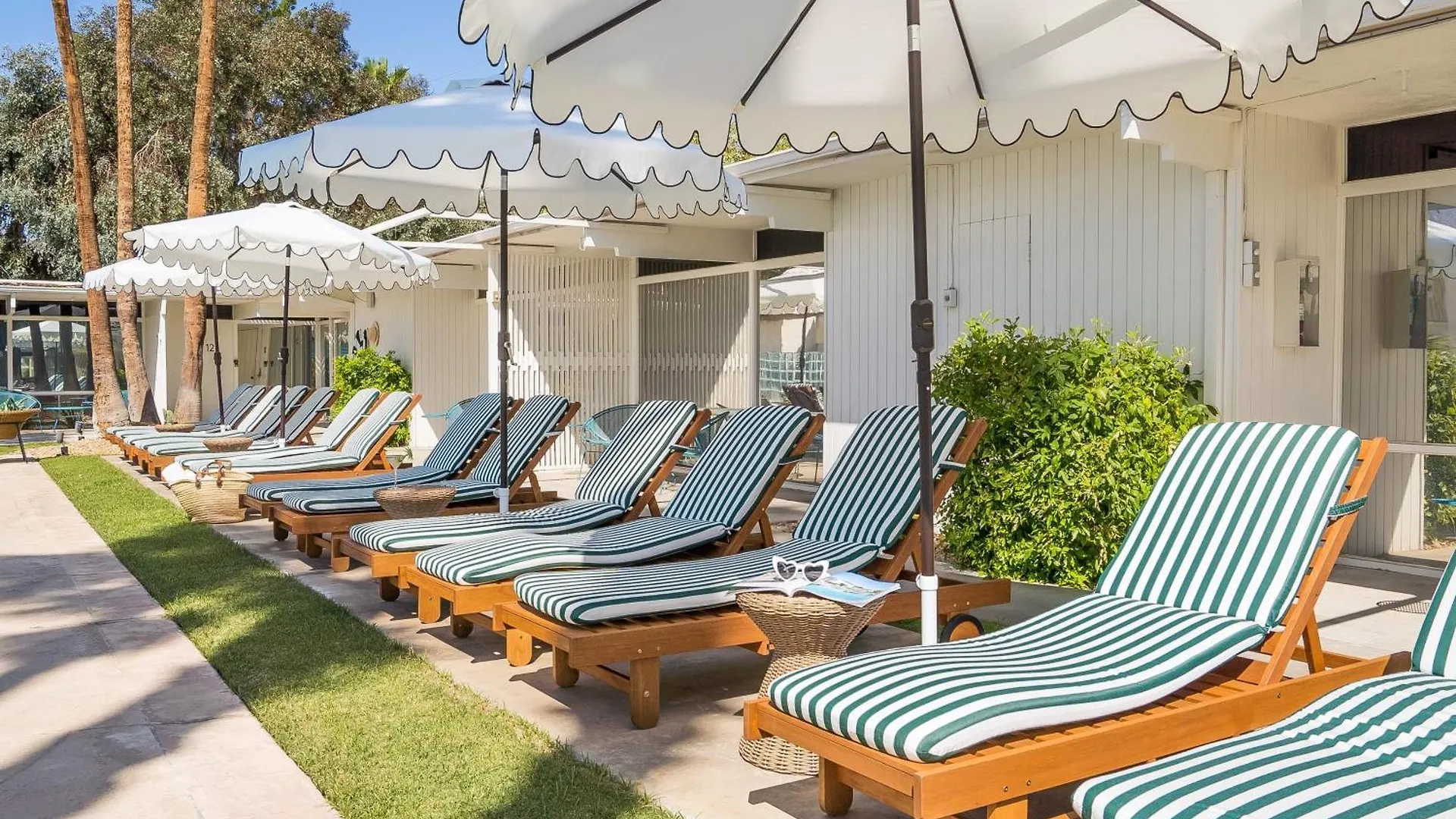 Monkey Tree Hotel By Avantstay Stylish Hotel In Palm Springs W Pool