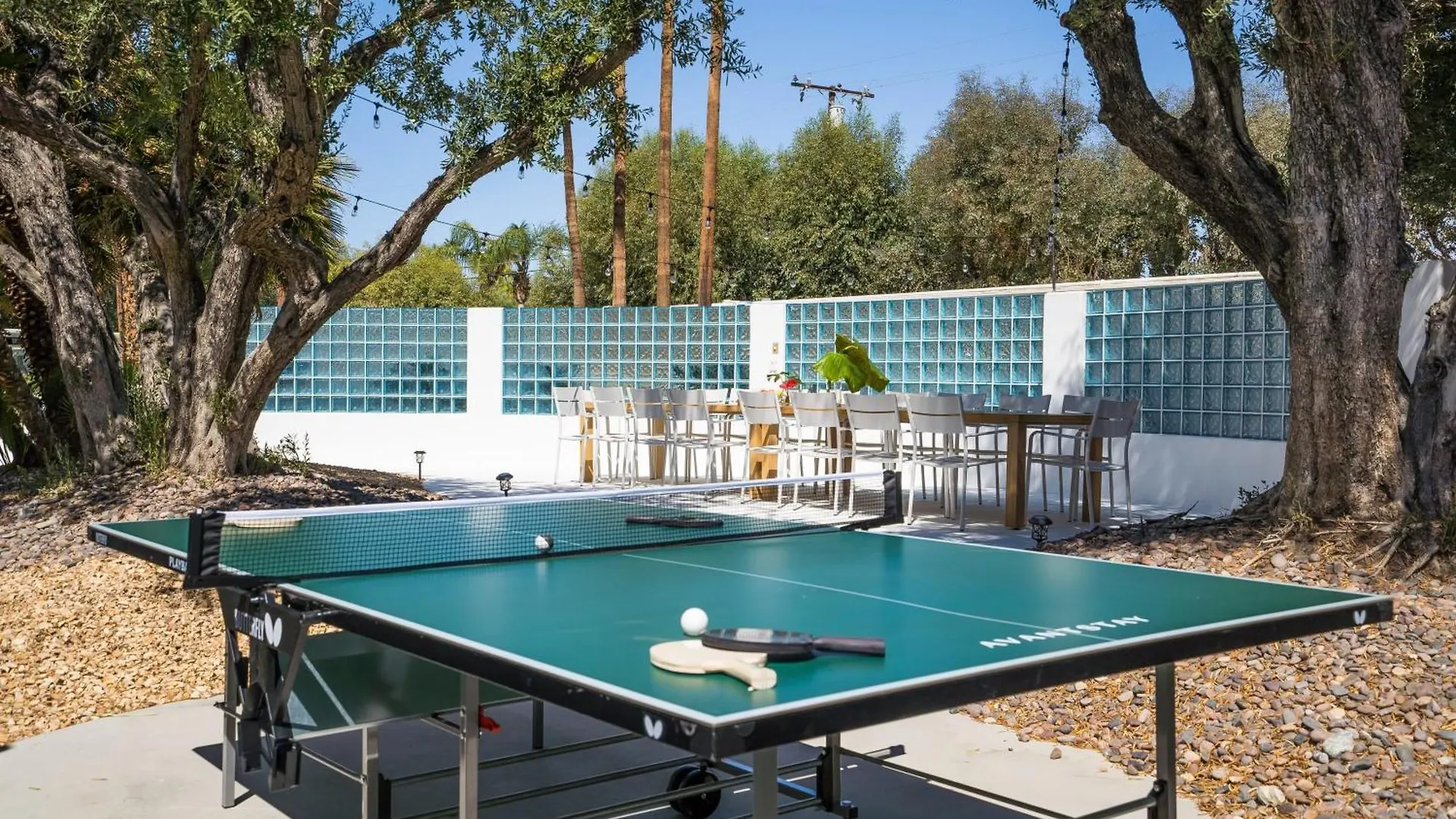 Monkey Tree Hotel By Avantstay Stylish Hotel In Palm Springs W Pool