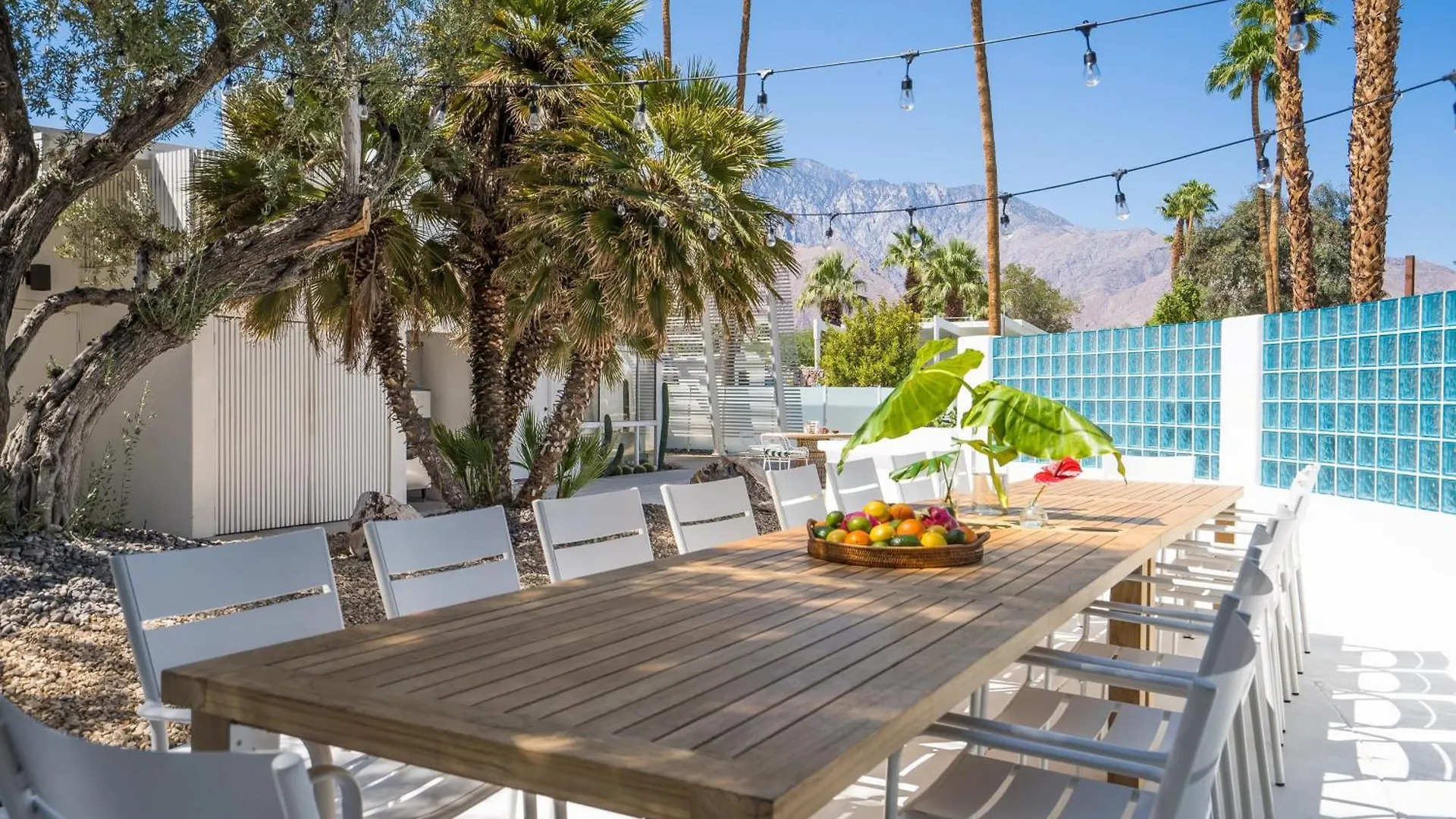 Monkey Tree Hotel By Avantstay Stylish Hotel In Palm Springs W Pool