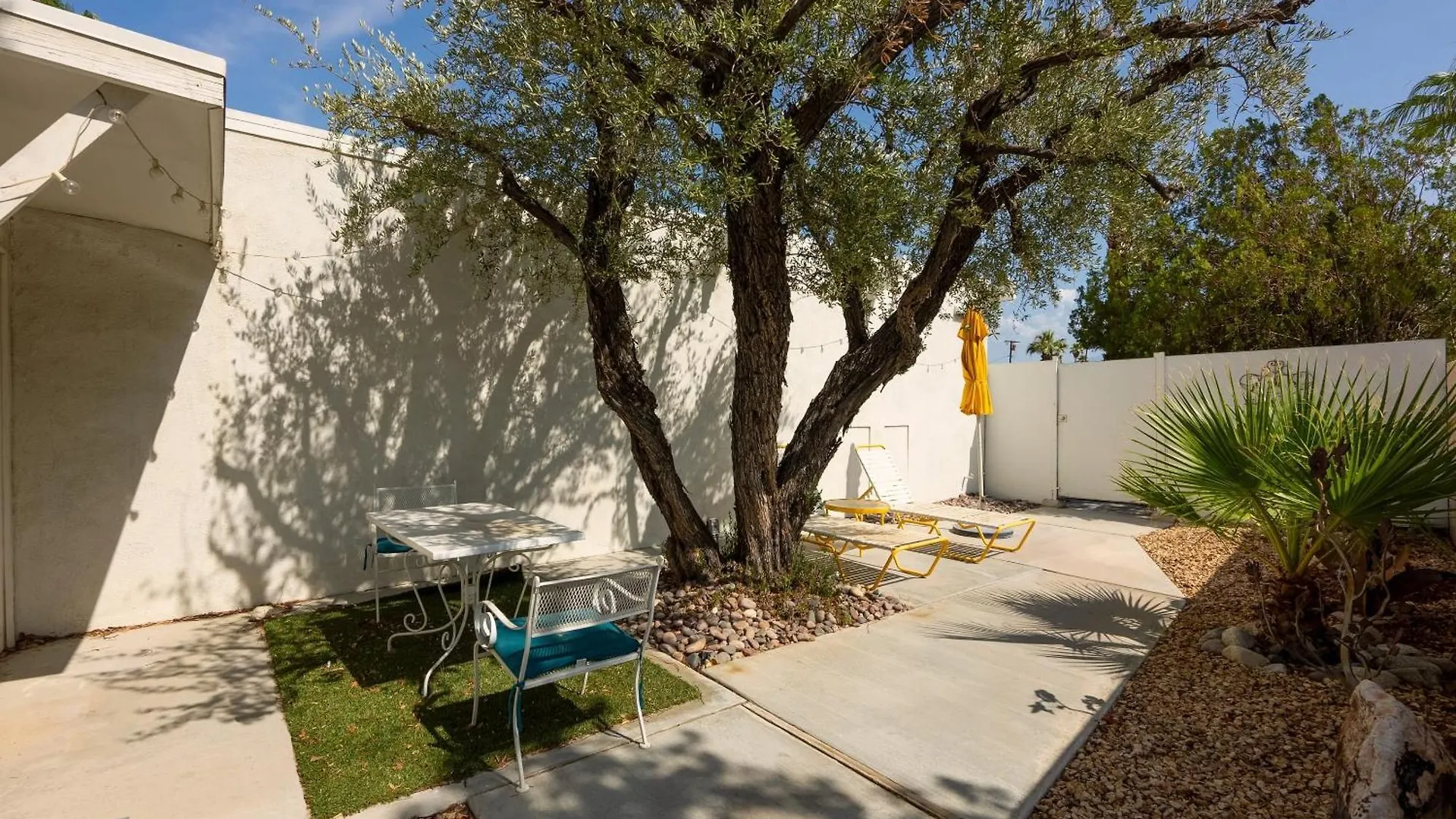Monkey Tree Hotel By Avantstay Stylish Hotel In Palm Springs W Pool